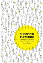 Digital Plenitude