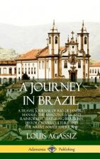 Journey in Brazil