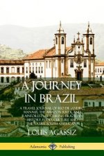 Journey in Brazil