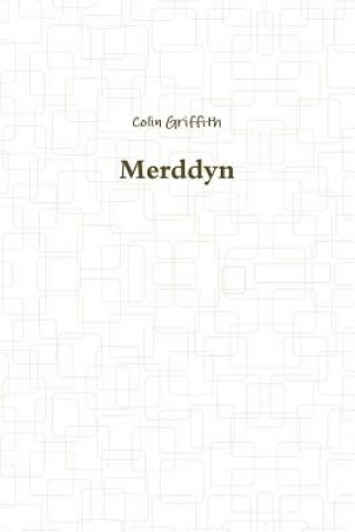 Merddyn