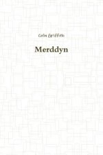 Merddyn