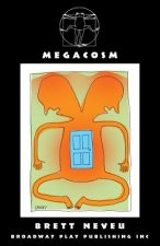 Megacosm