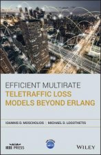 Efficient Multirate Teletraffic Loss Models Beyond  Erlang