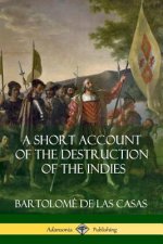 Short Account of the Destruction of the Indies (Spanish Colonial History)