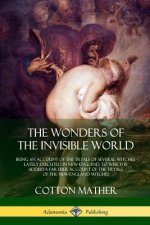 Wonders of the Invisible World