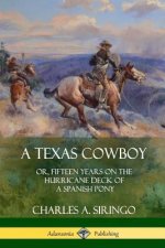 Texas Cowboy