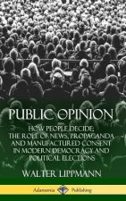 Public Opinion