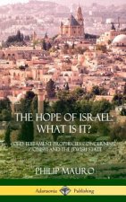 Hope of Israel; What Is It?