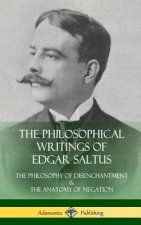 Philosophical Writings of Edgar Saltus
