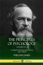 Principles of Psychology (Volume 1 of 2)