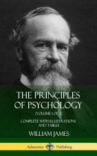 Principles of Psychology (Volume 1 of 2)