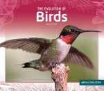 Evolution of Birds