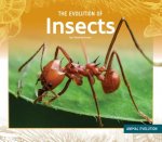 Evolution of Insects