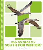 Why Do Birds Fly South for Win