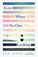 Even When No One Is Looking