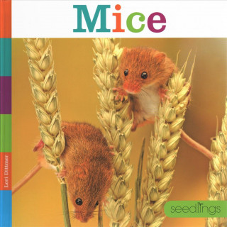 Mice