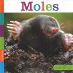 Moles