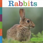 Rabbits