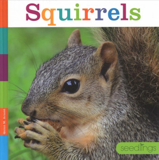 Squirrels