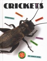 Crickets