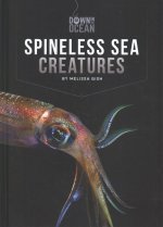 Spineless Sea Creatures