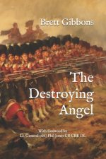 The Destroying Angel: The Rifle-Musket as the First Modern Infantry Weapon