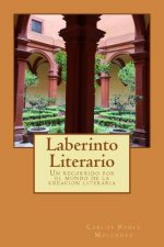 Laberinto Literario: Un recorrido por el mundo de la creacion literaria