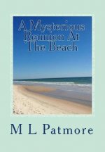 A Mysterious Reunion At The Beach: A Florida Coastal Fishing Village Mystery Book Two