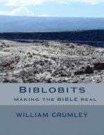 Biblobits: making the Bible real