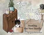 Adventures of Mrs. B