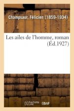 Les Ailes de l'Homme, Roman