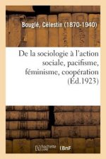 de la Sociologie A l'Action Sociale, Pacifisme, Feminisme, Cooperation
