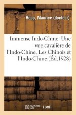 Immense Indo-Chine. Une Vue Cavaliere de l'Indo-Chine.