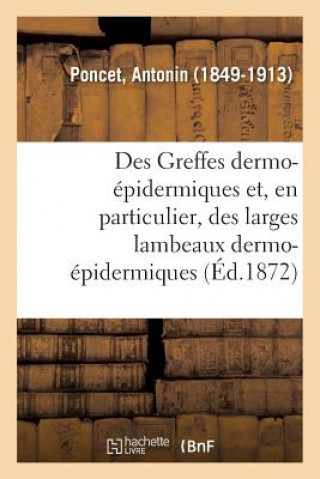 Des Greffes Dermo-Epidermiques Et, En Particulier, Des Larges Lambeaux Dermo-Epidermiques