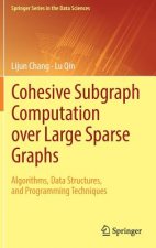 Cohesive Subgraph Computation over Large Sparse Graphs