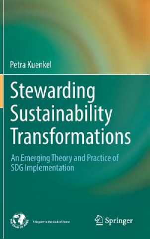 Stewarding Sustainability Transformations
