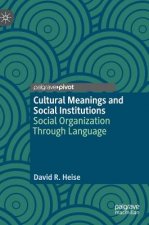 Cultural Meanings and Social Institutions