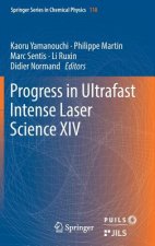Progress in Ultrafast Intense Laser Science XIV