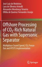 Offshore Processing of CO2-Rich Natural Gas with Supersonic Separator