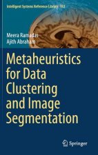 Metaheuristics for Data Clustering and Image Segmentation