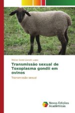 Transmissão sexual de Toxoplasma gondii em ovinos