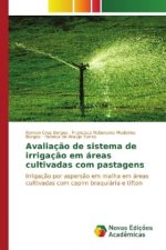 Avaliação de sistema de irrigação em áreas cultivadas com pastagens