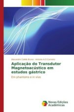 Aplicação do Transdutor Magnetoacústico em estudos gástrico