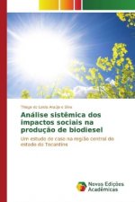 Análise sistêmica dos impactos sociais na produção de biodiesel