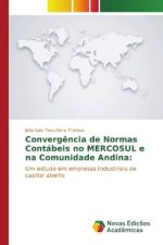 Convergência de Normas Contábeis no MERCOSUL e na Comunidade Andina: