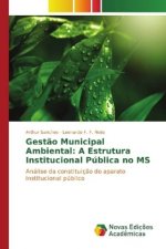 Gestão Municipal Ambiental: A Estrutura Institucional Pública no MS