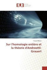 Sur l'homologie entière et la théorie d'Andreotti-Grauert