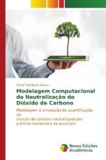 Modelagem Computacional da Neutralização do Dióxido de Carbono