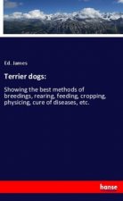 Terrier dogs: