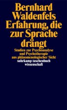 Erfahrung, die zur Sprache drängt